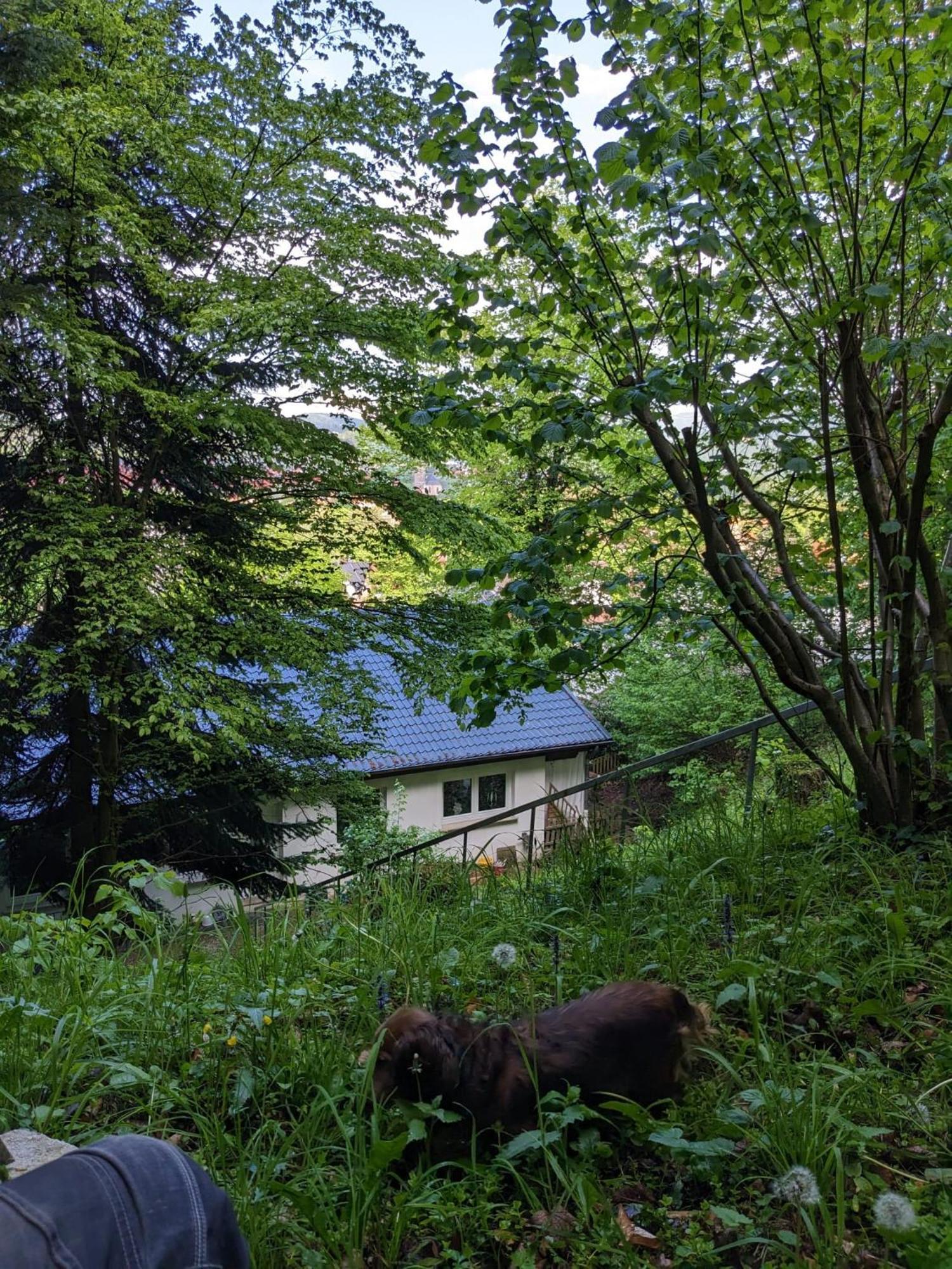 Ferienwohnung Bad Sooden- Allendorf エクステリア 写真